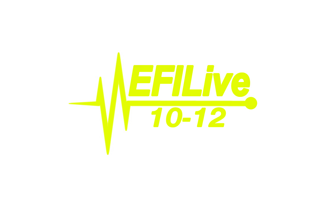 Dealer 10-12 Cummins efilive tune